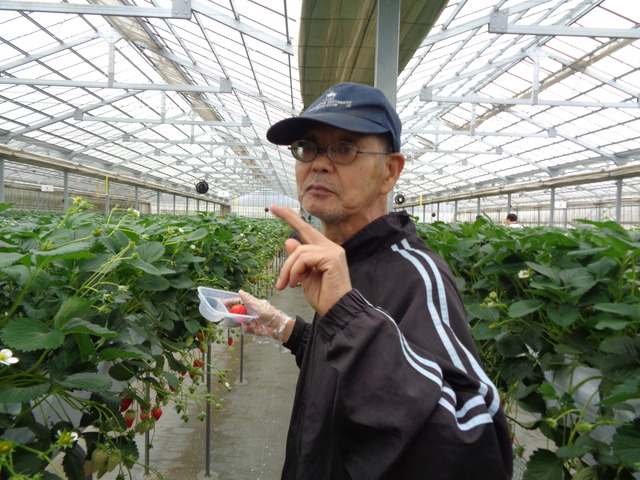 䕐V.JPG